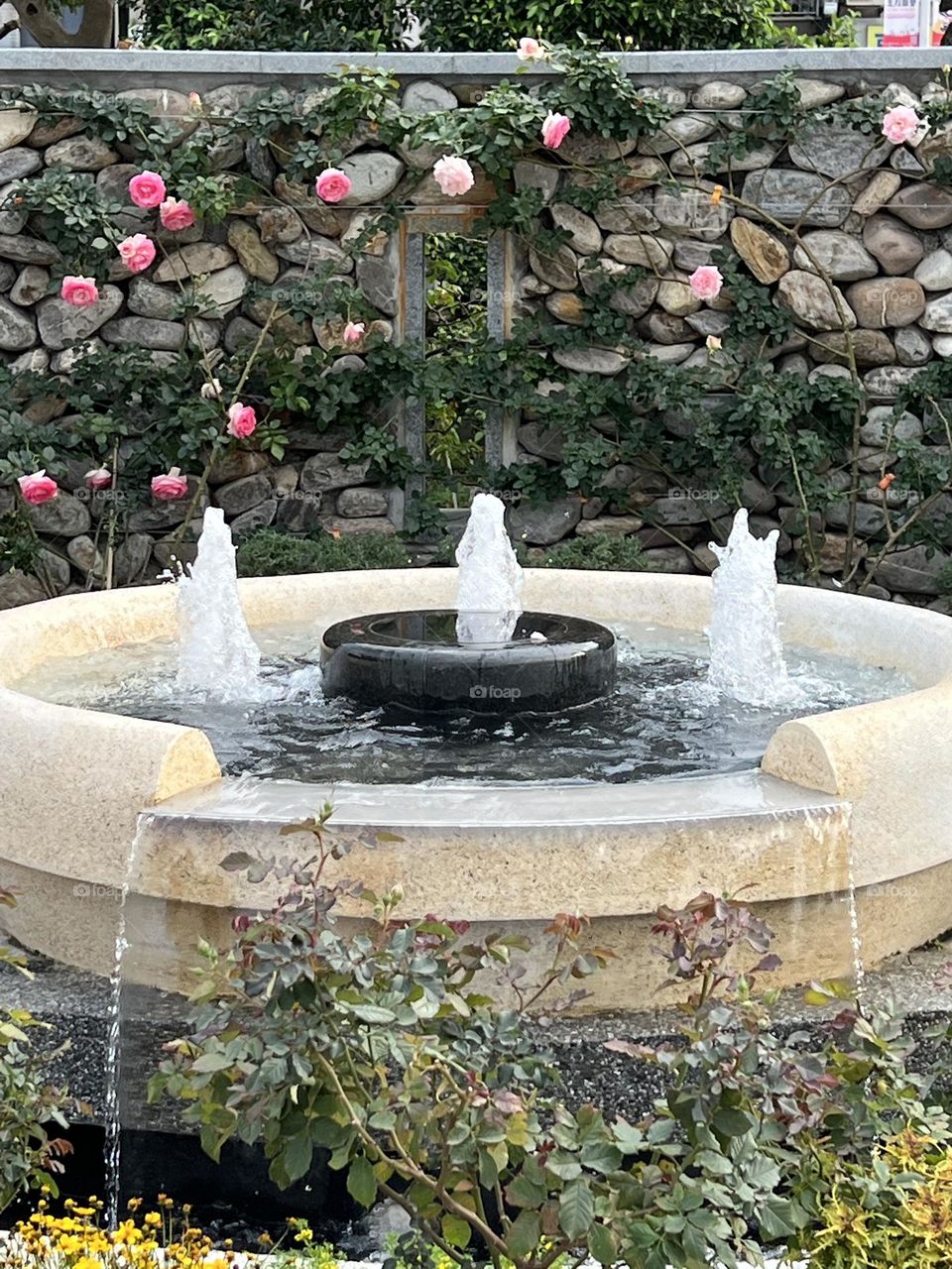 fountain in Yuanshan Flower Expo Park