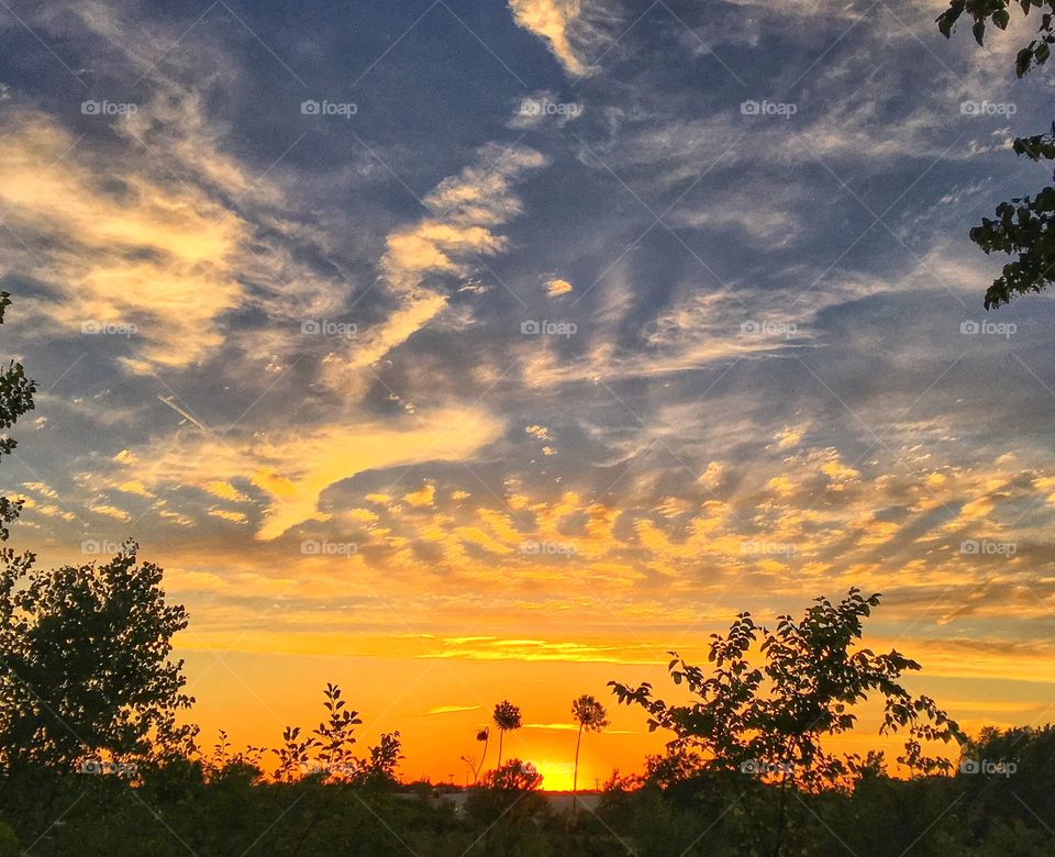 Silhouette of trees against dramatic sky