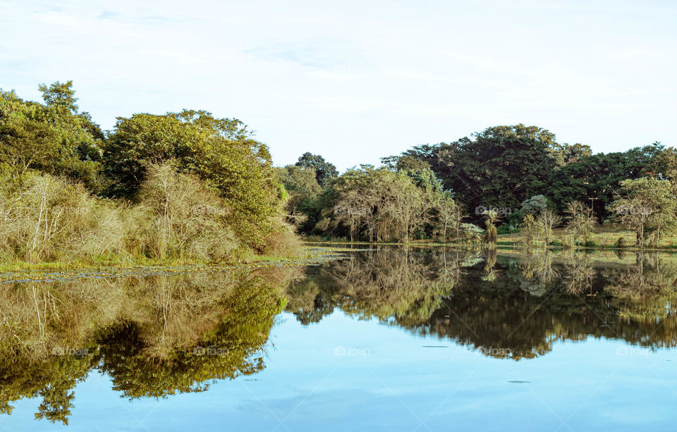 Represa rodeada por árvores refletindo na água.