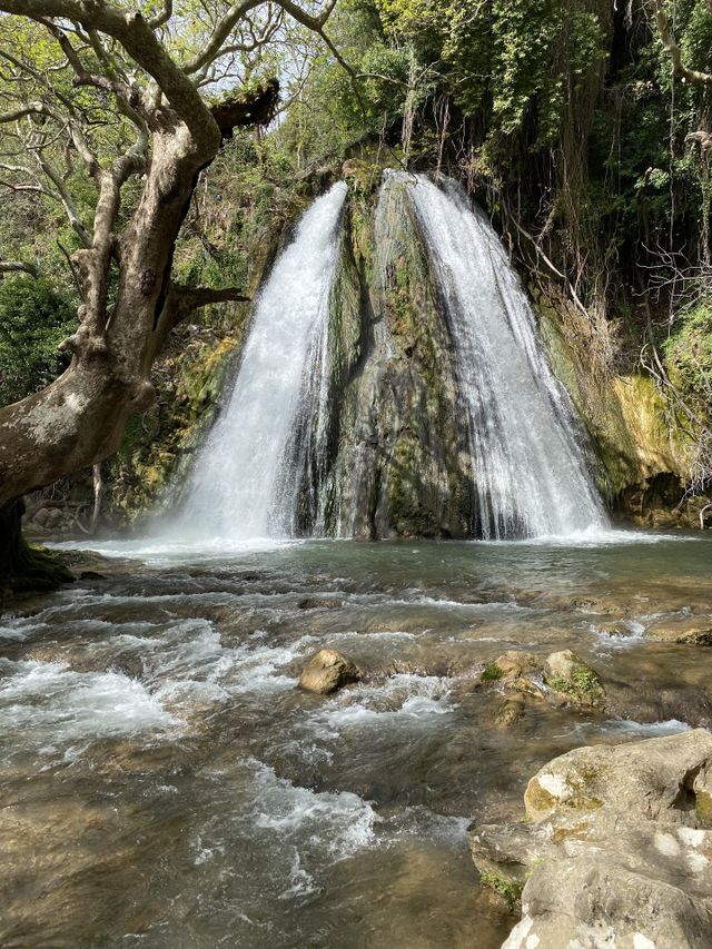 cataract