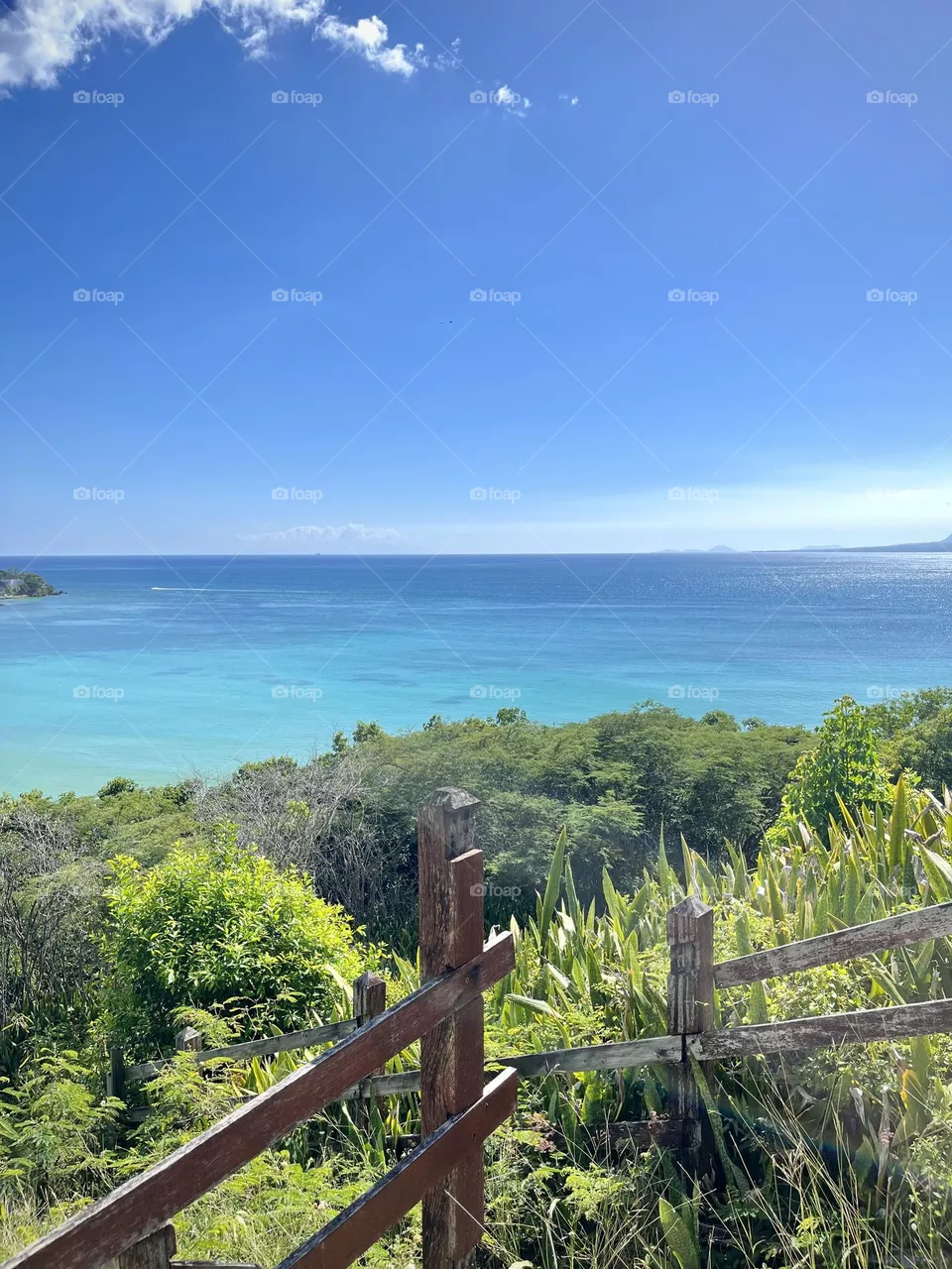 Caribbean landscape 