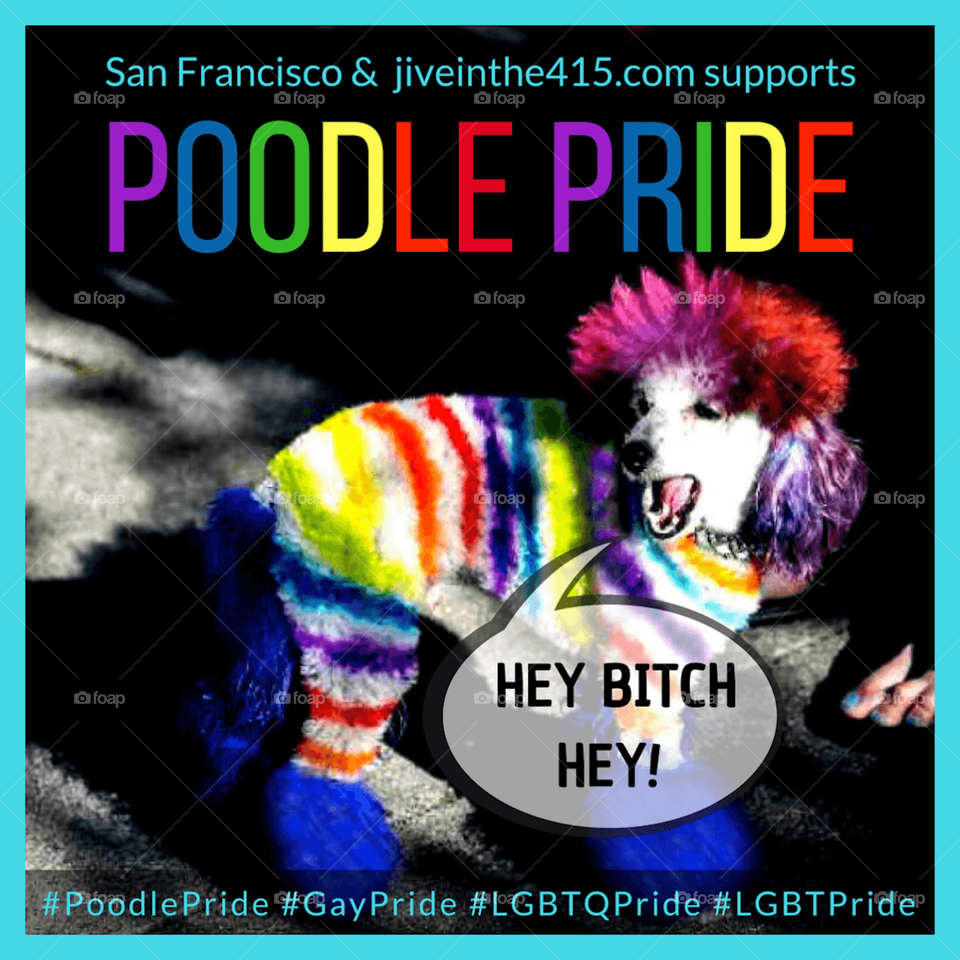Poodle Pride 2018 - Not For Sale