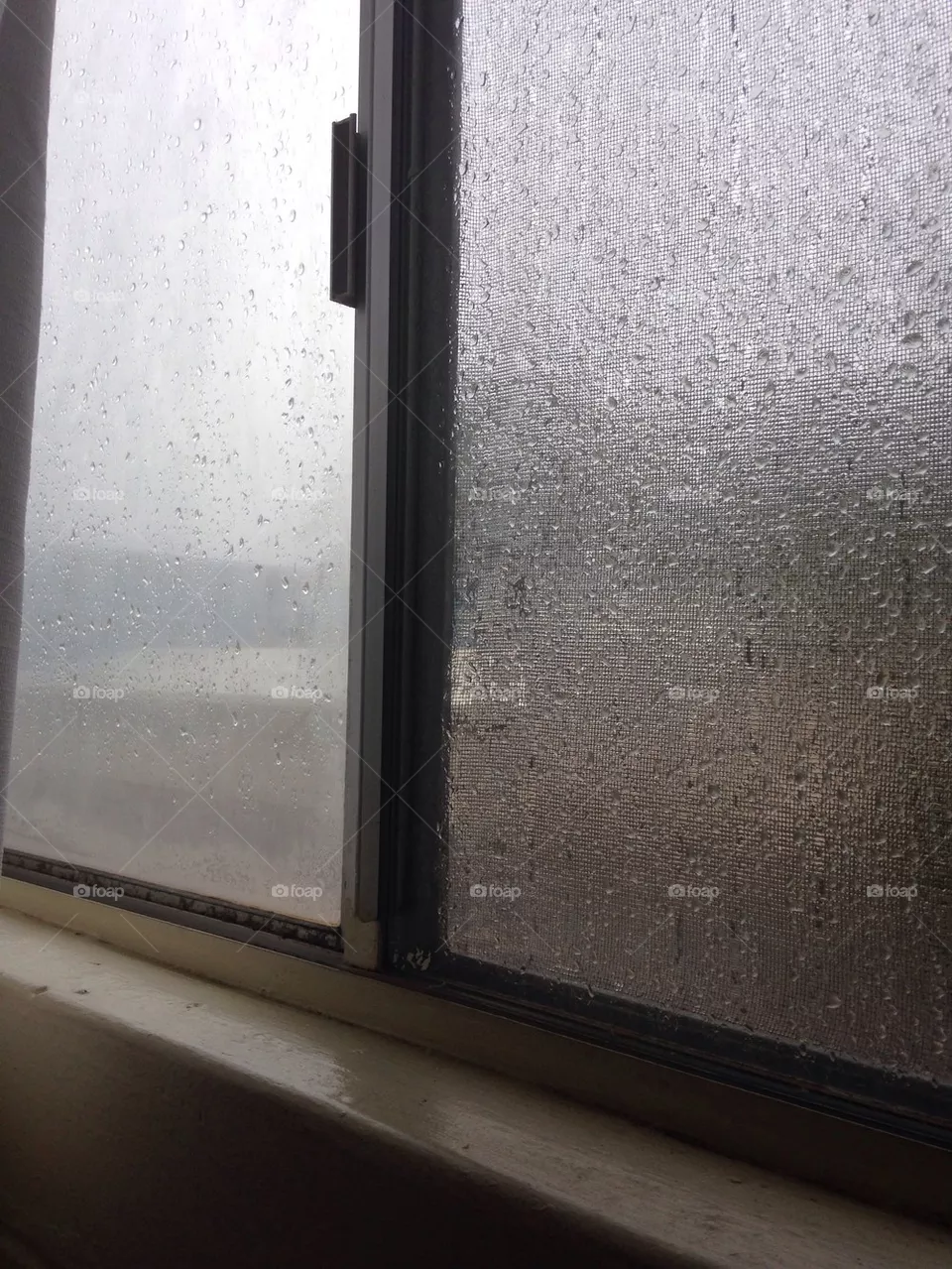 Rainy Day