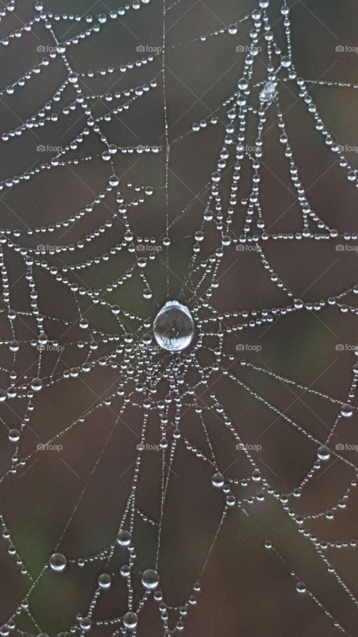 web