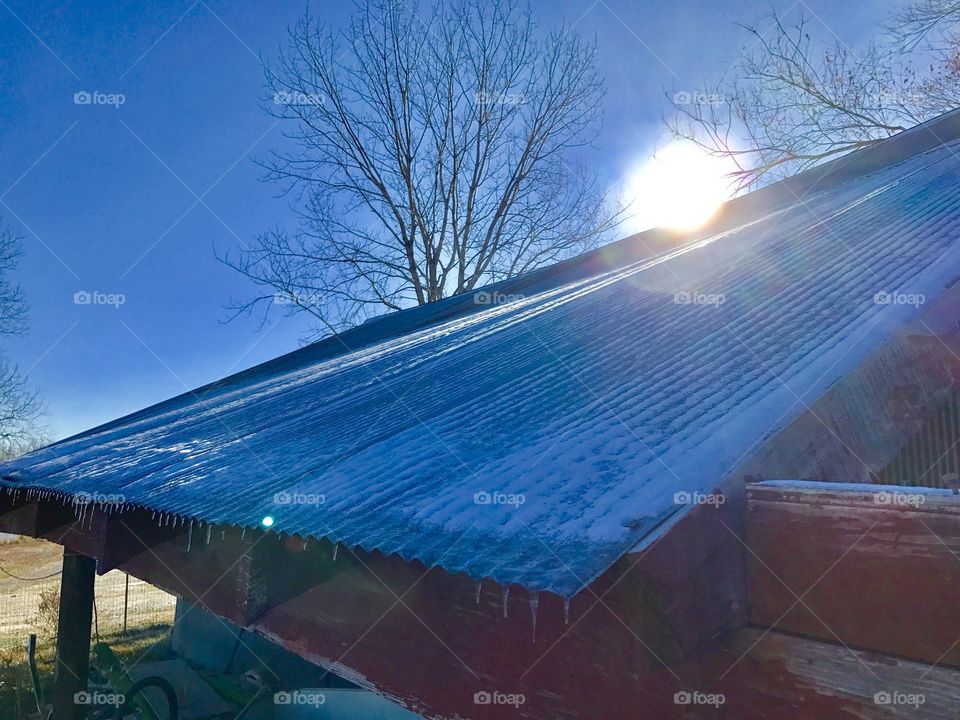 Winter Story, cold, winter, rural, frozen, sun, bright, crisp, overgrown, snow, steel, corrugated, gray, tree, roof