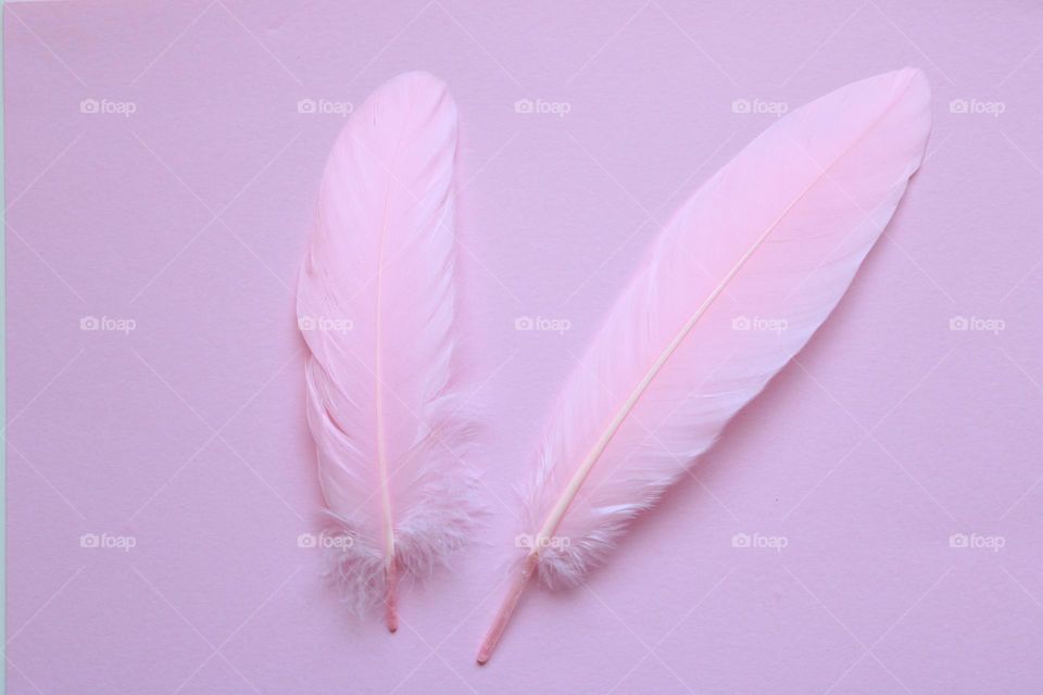 Pink feathers 💗