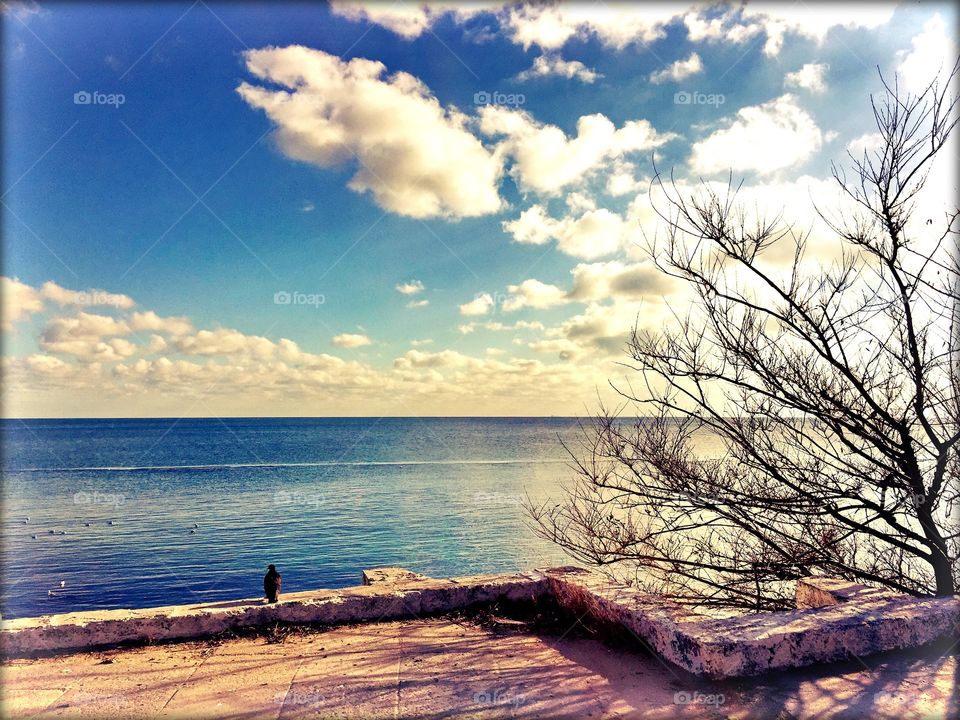 Pitty. but photos can't transfer freshy coldness of the air...
