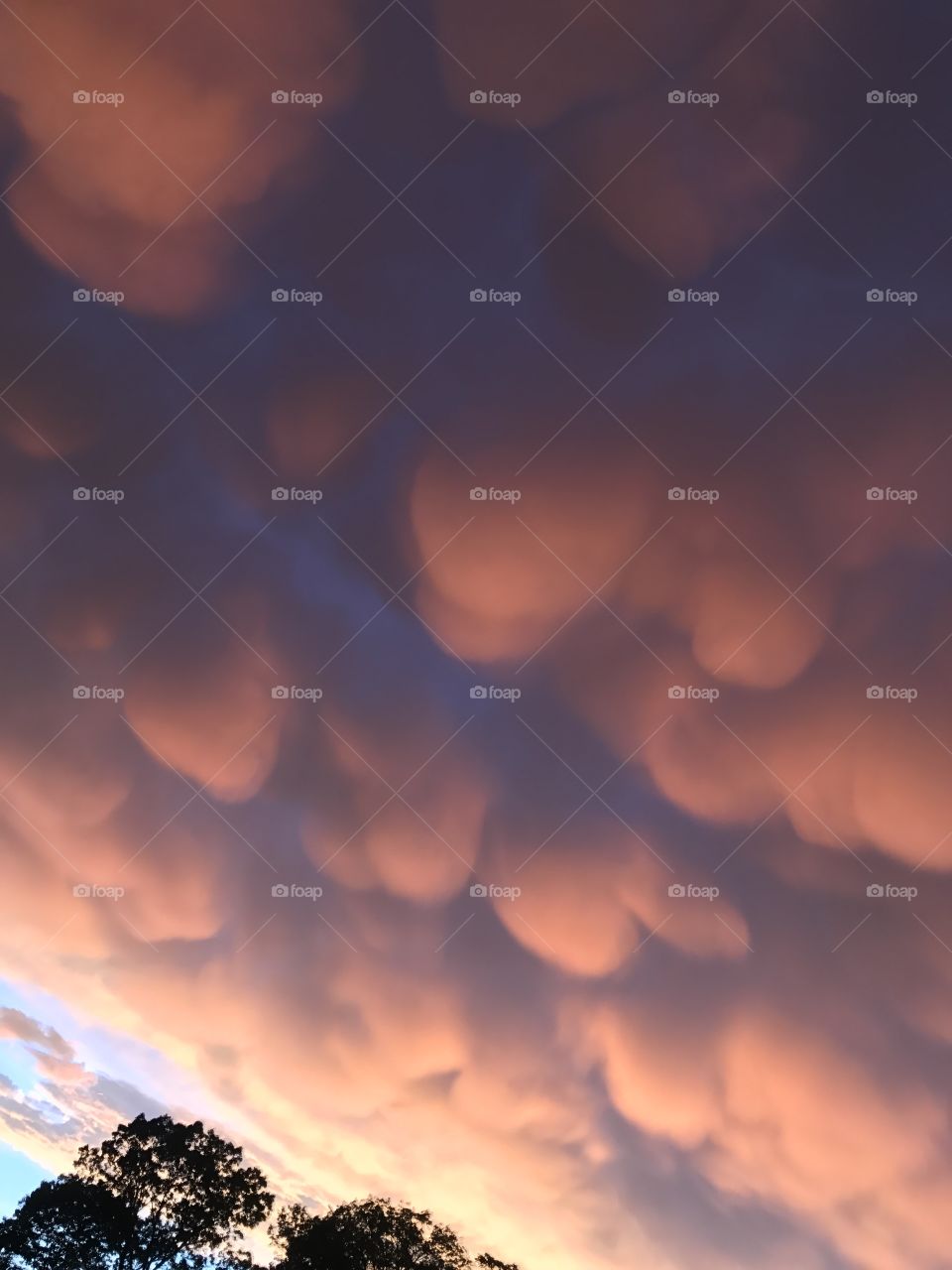 Orange clouds that resemble cotton candy. 