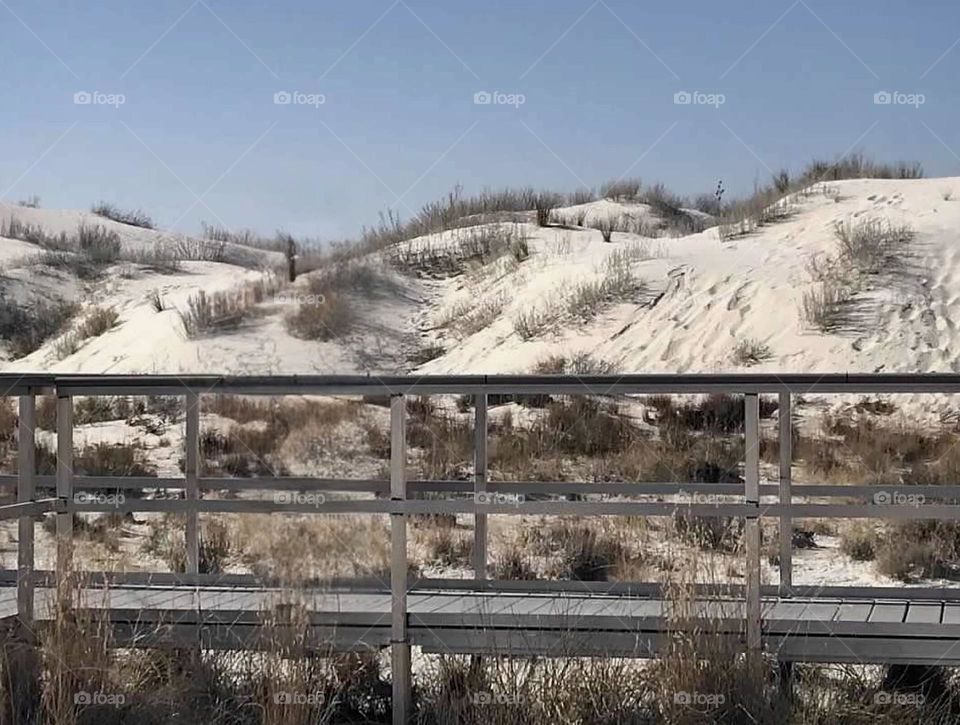 A stunning landscape of White Sands in New Mexico. Sand dunes lined with dune grass and vegetation welcome wildlife. The wooden pedestrian walking bridge crosses the landscape. The sky is clear and blue. 