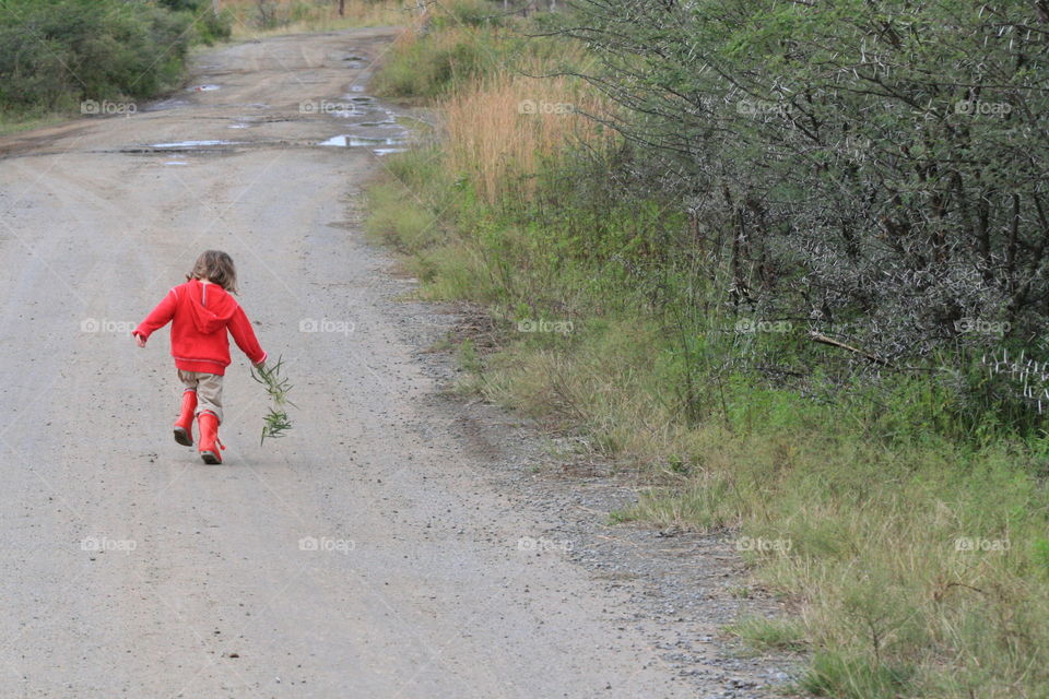 A stroll on the farm