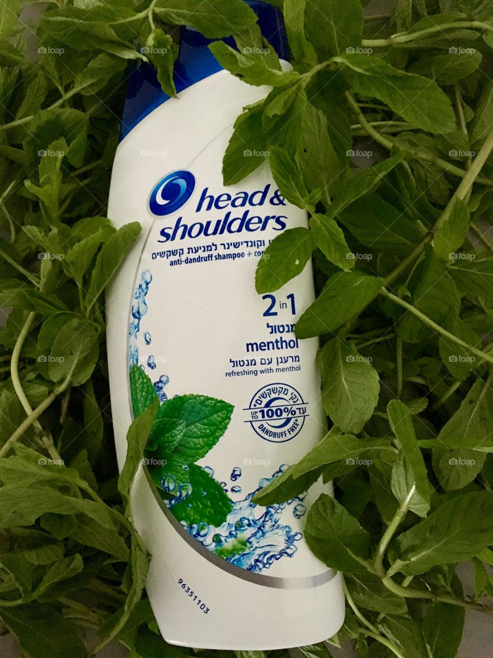 head & shoulders menthol shampoo
COOL MENTHOL SHAMPOO