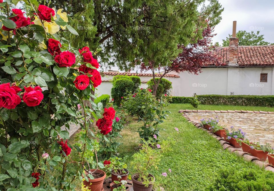 Urban Nature Plants, Karlovo, Bulgaria