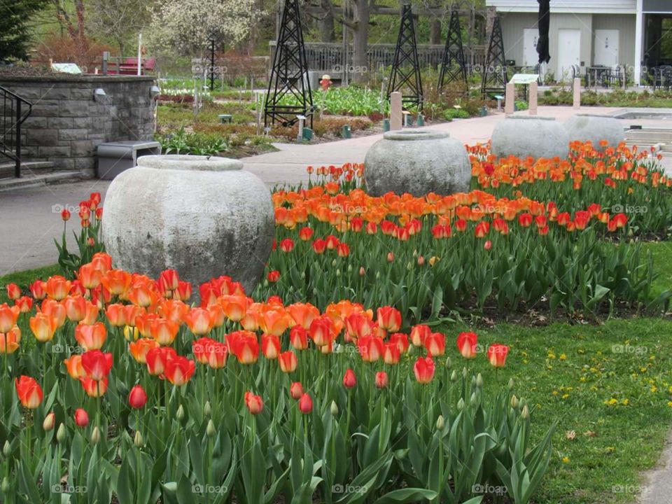 Royal Botanical Gardens