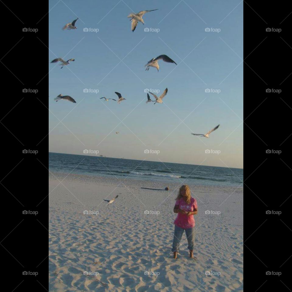 Feeding The Seagulls!!. I Was Feeding the Seagulls on Dauphin Island Alabama!