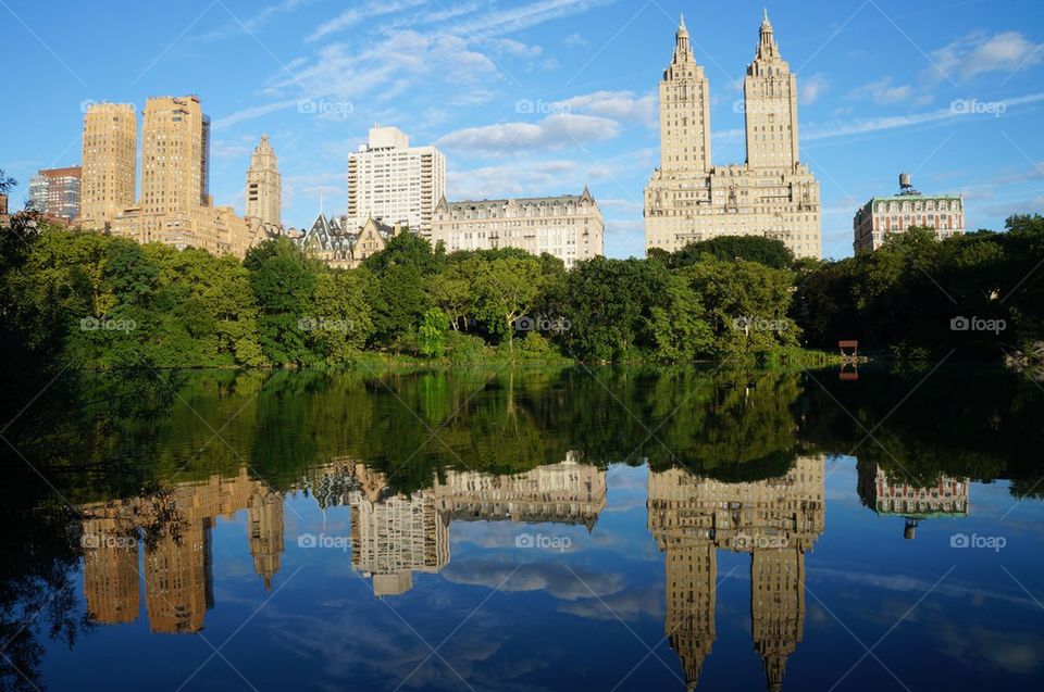 Central Park Reflection
