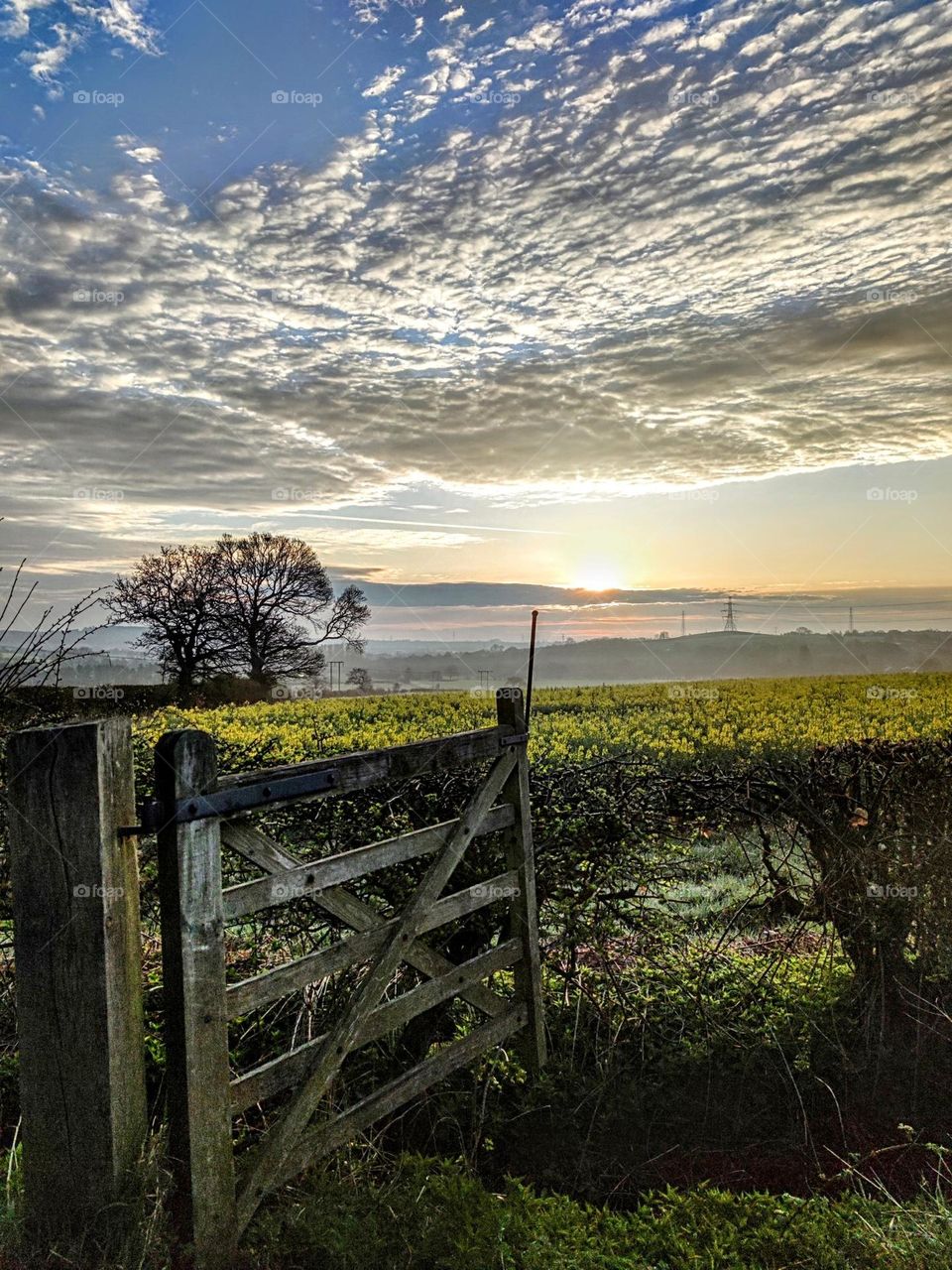 Come on in the gate is always open...