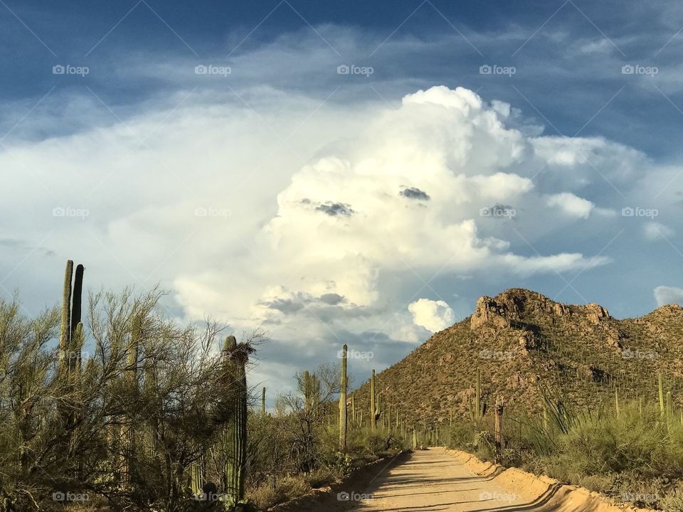 Desert Cloudscape 