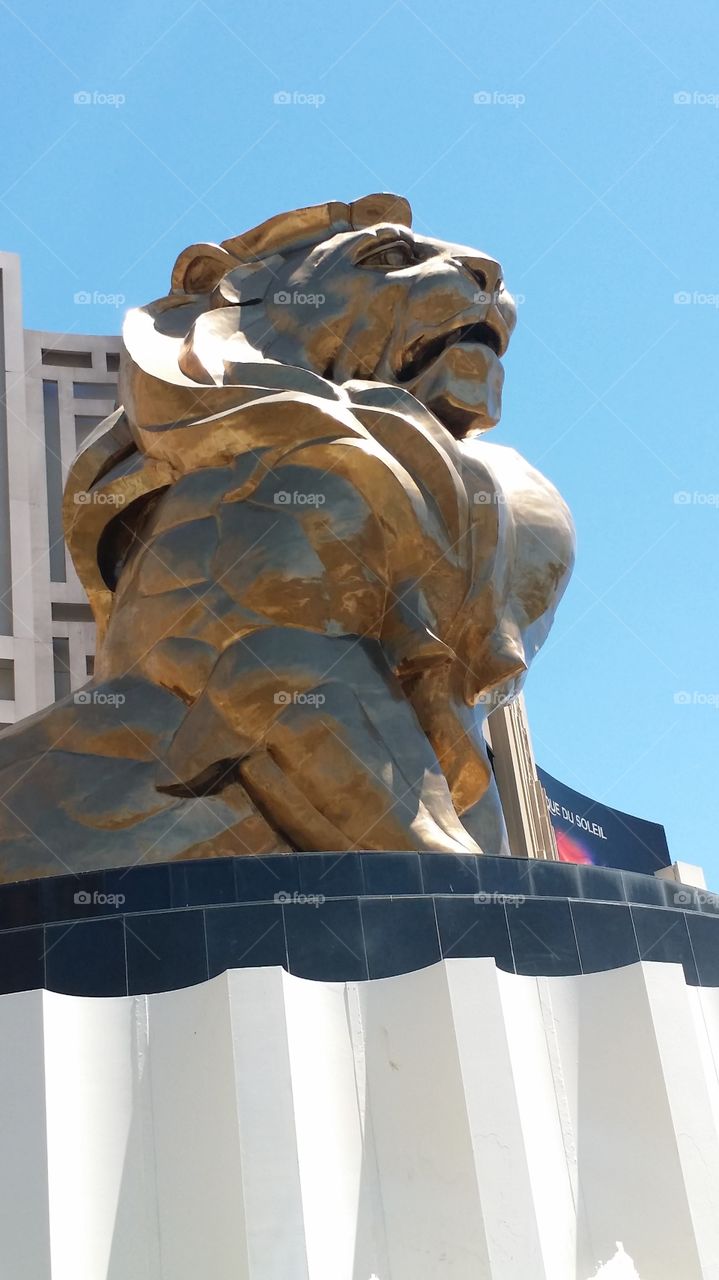 Las Vegas Lion