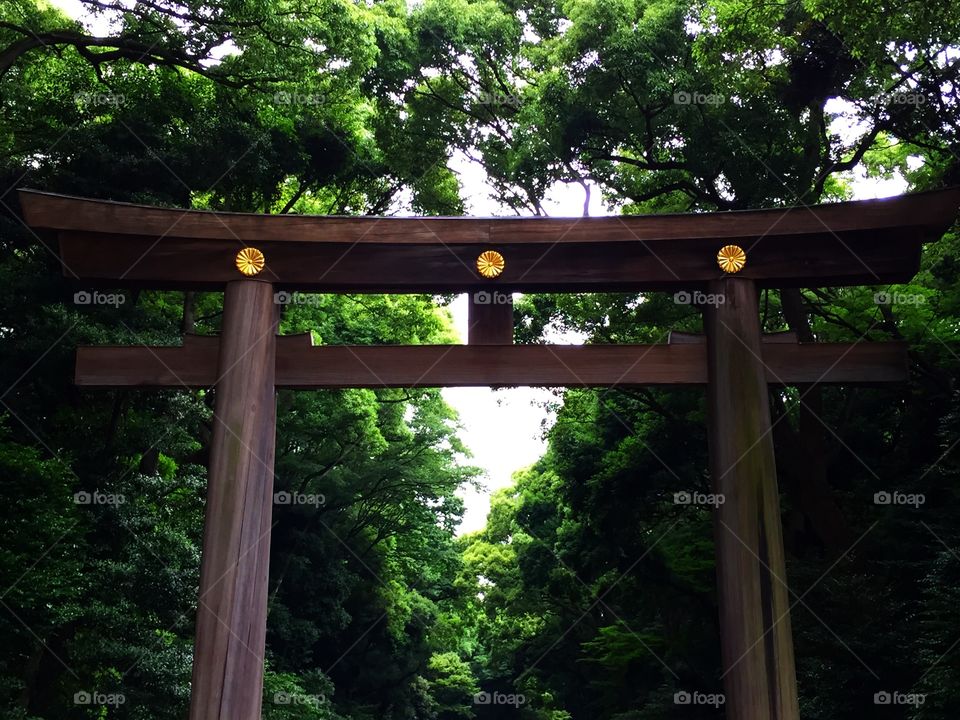 Japanese Shrine. The gateway to the Japanese shrine at Meiji-jingu (Harajuku) in Tokyo, Japan