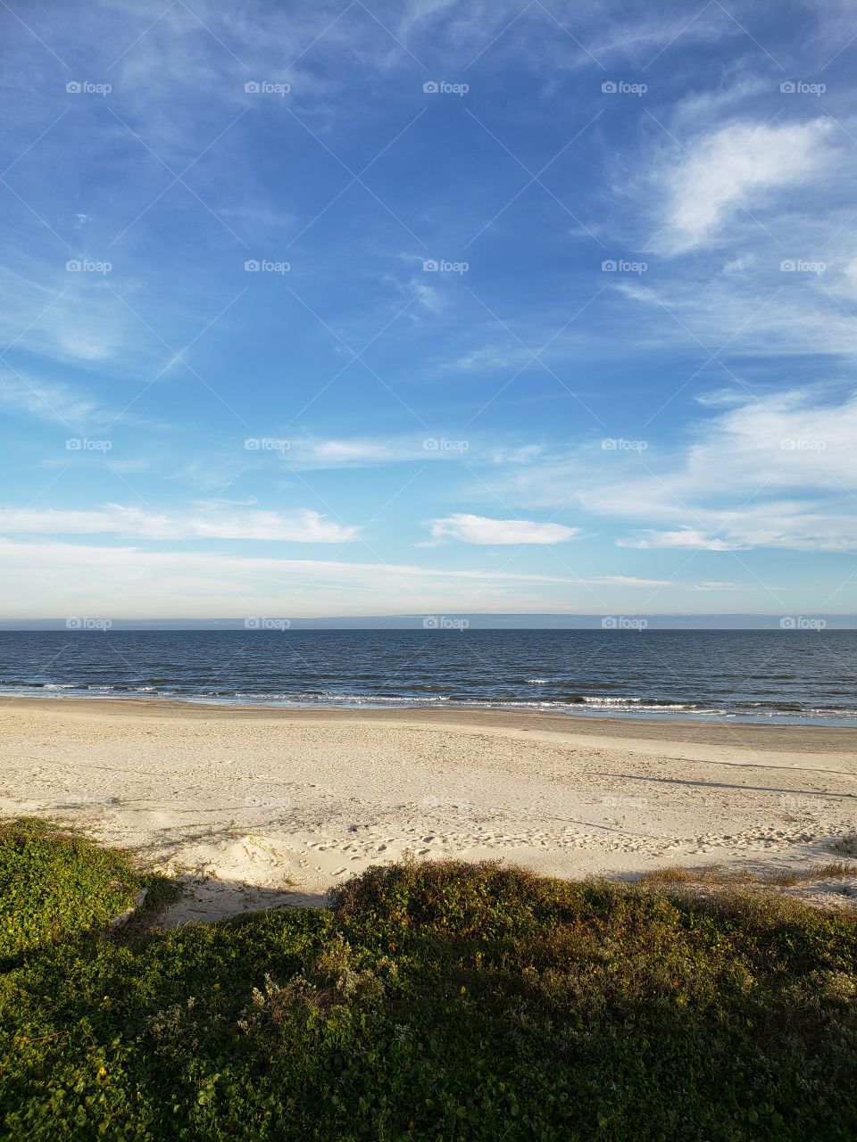 a beautiful way to spend Christmas day