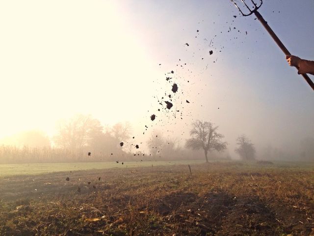 field working