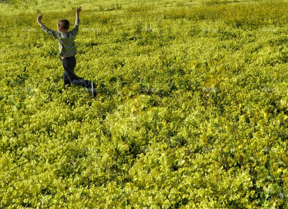 Boy Running Through Wildflowers 