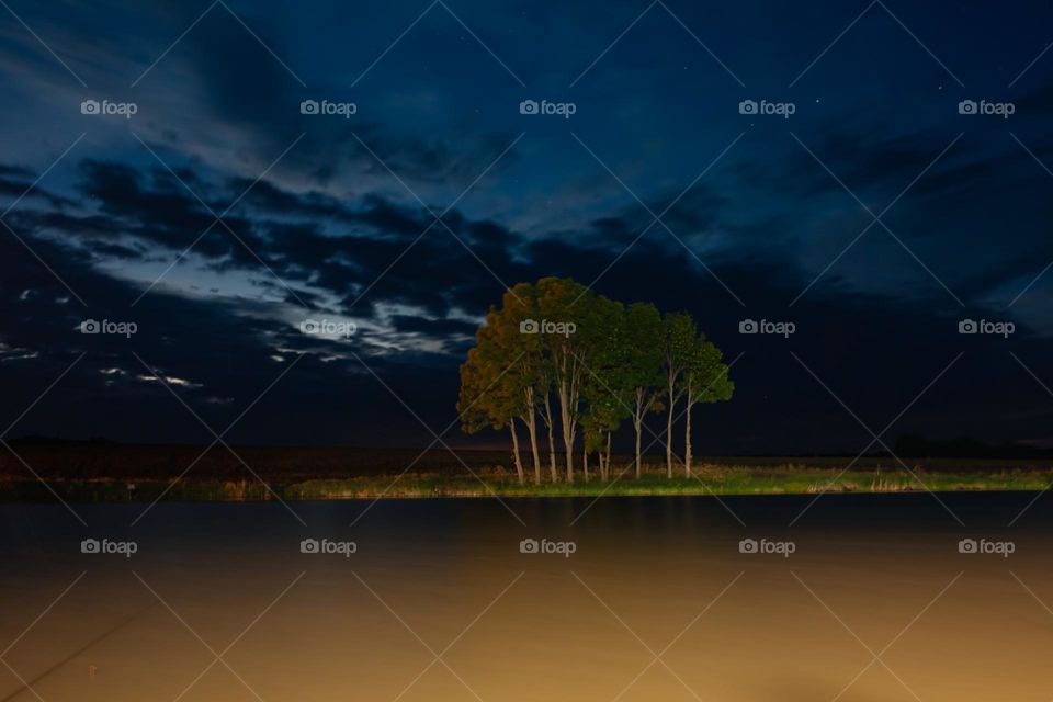 night photo of nature