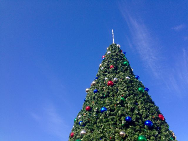 Christmas tree against a blue clear sky