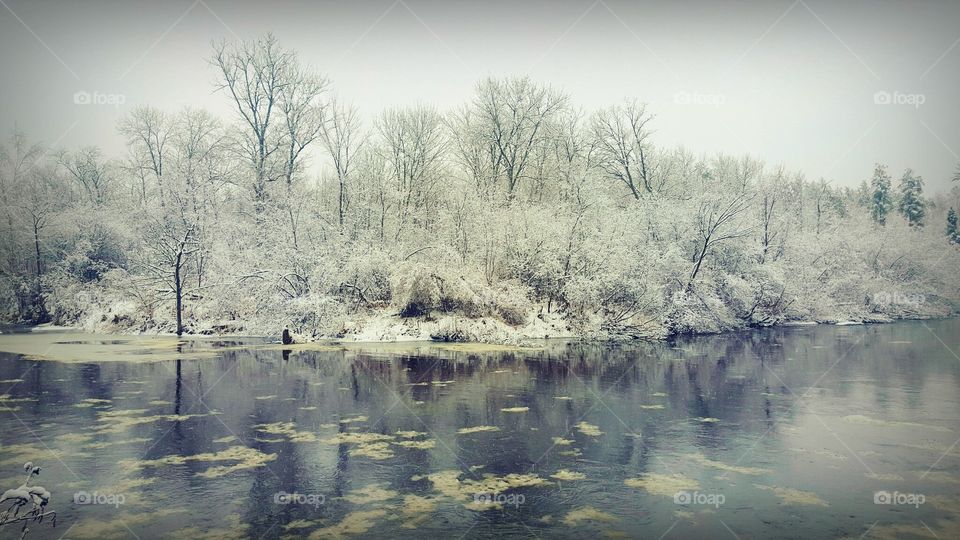 Landscape, Tree, Winter, Lake, Reflection