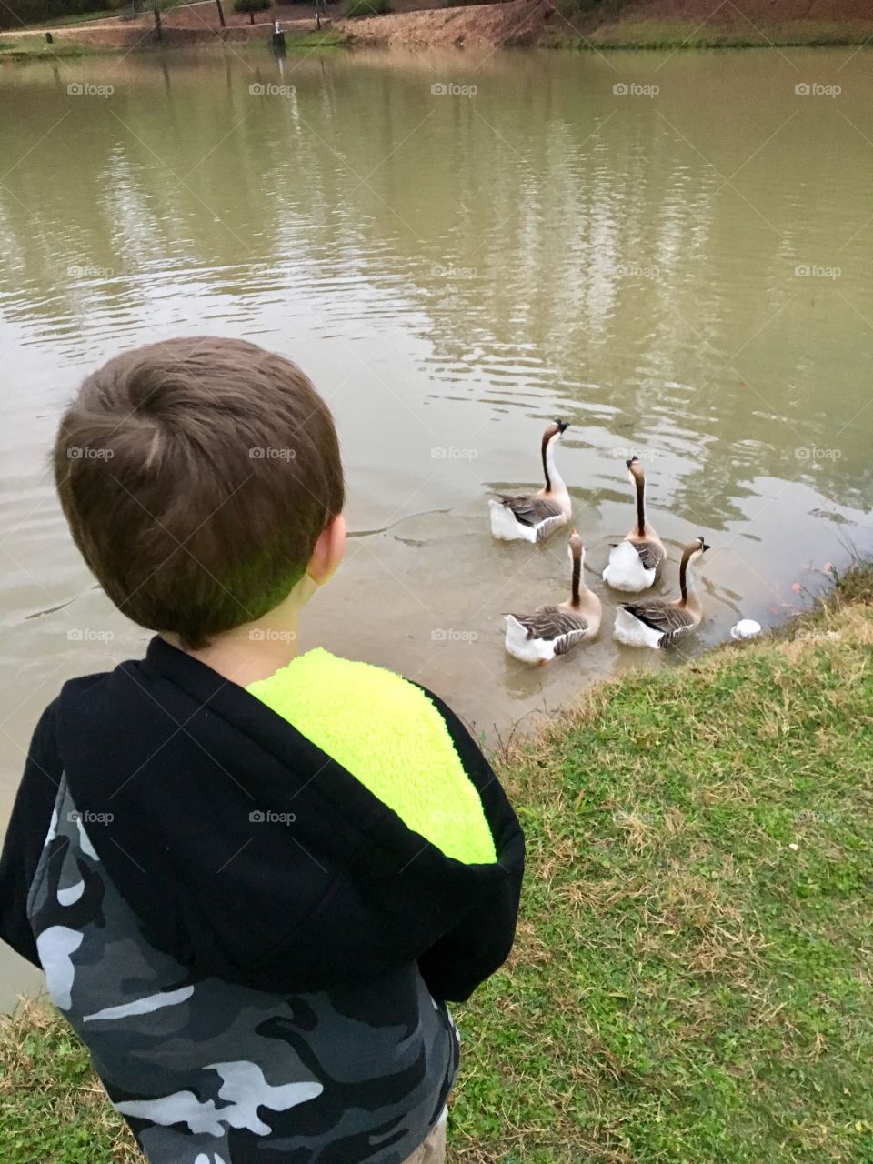 Day at the park; Family time; Making memories; Spending time outdoors, ducks, nature, pond, kid