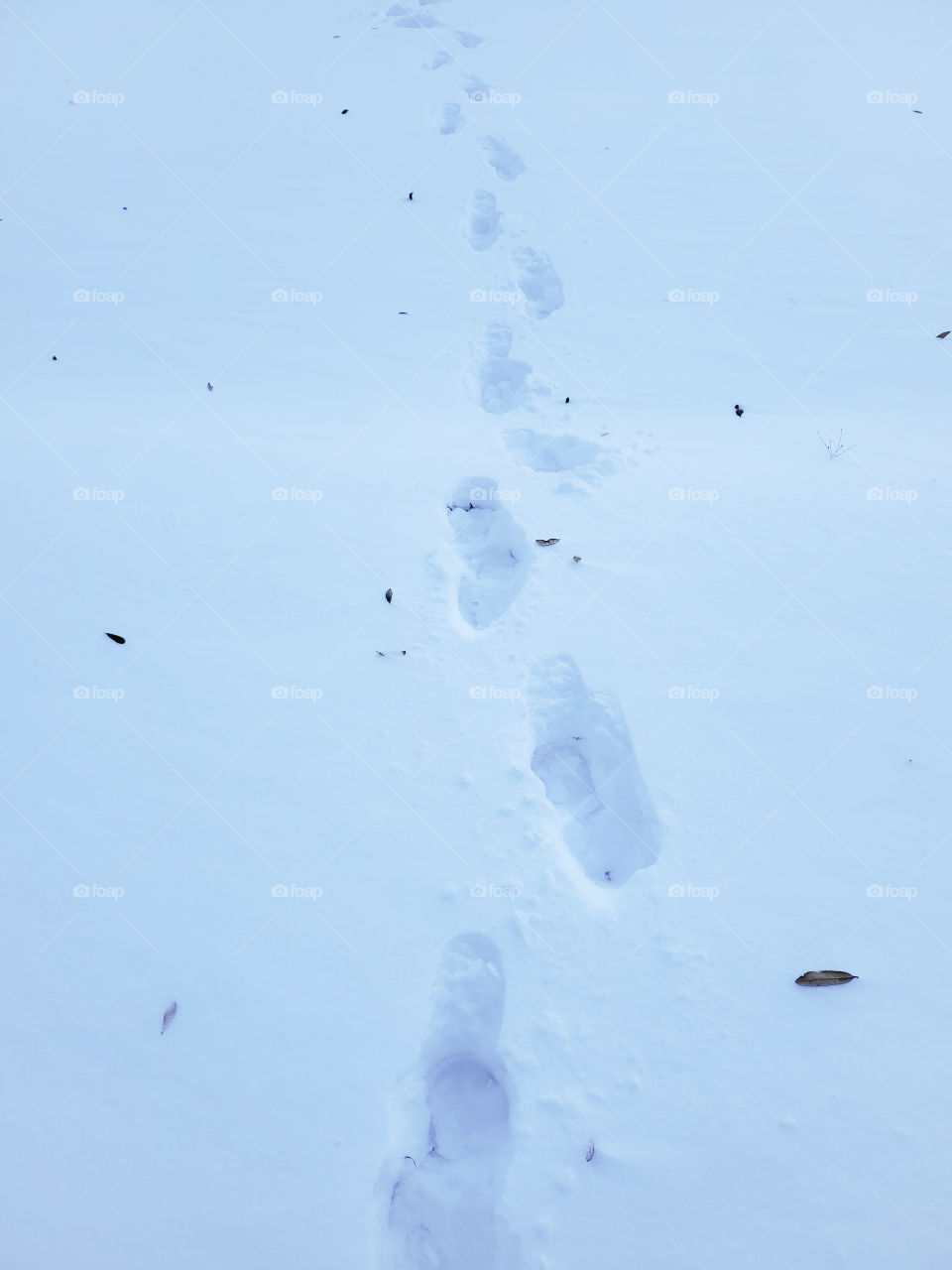 Steps in the snow