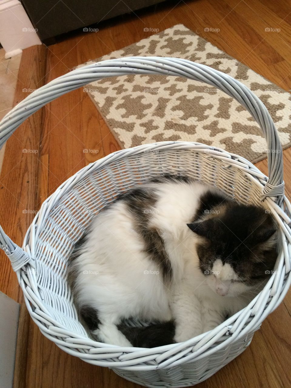 Dude in a basket