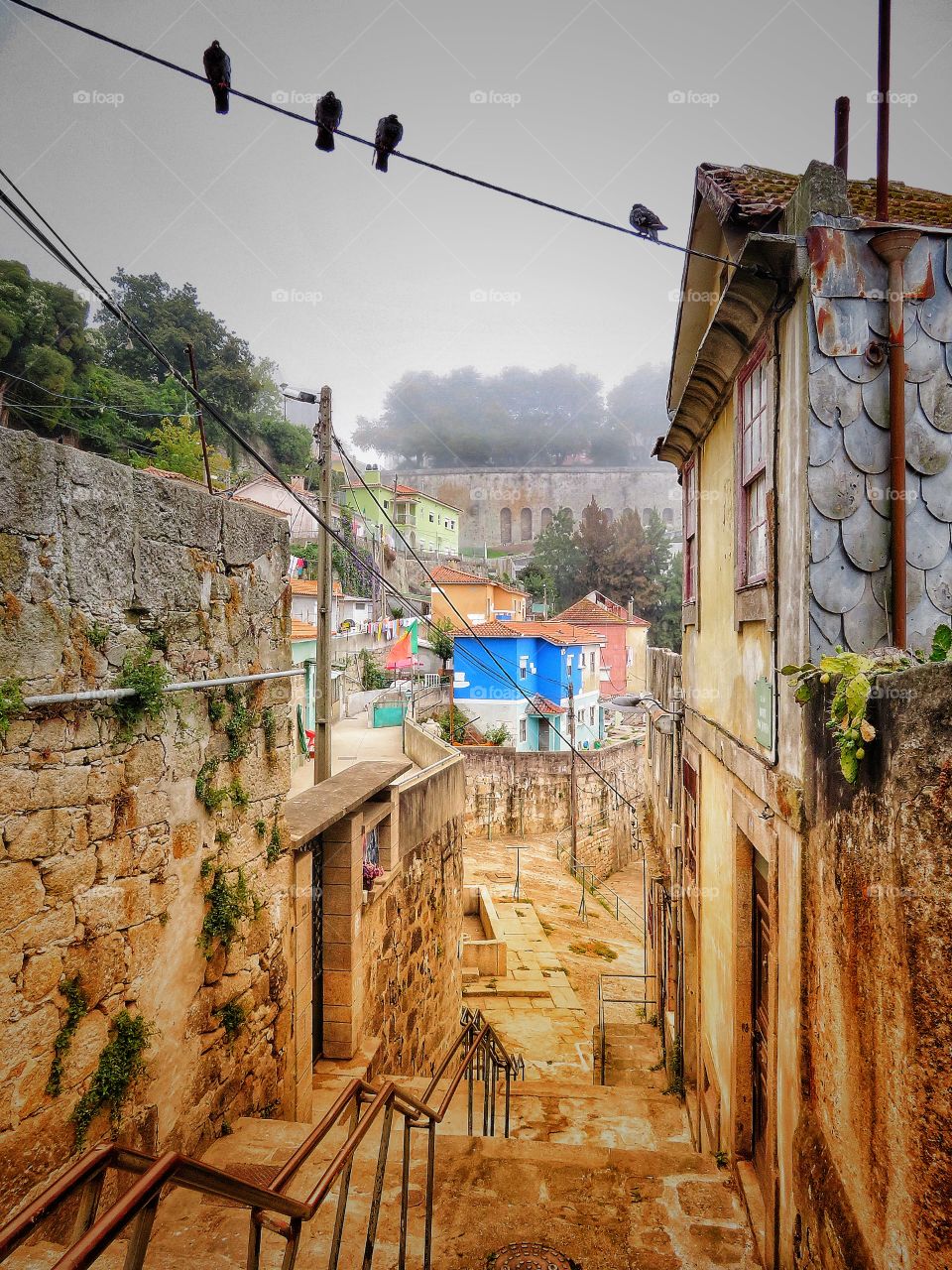 Foggy morning Porto