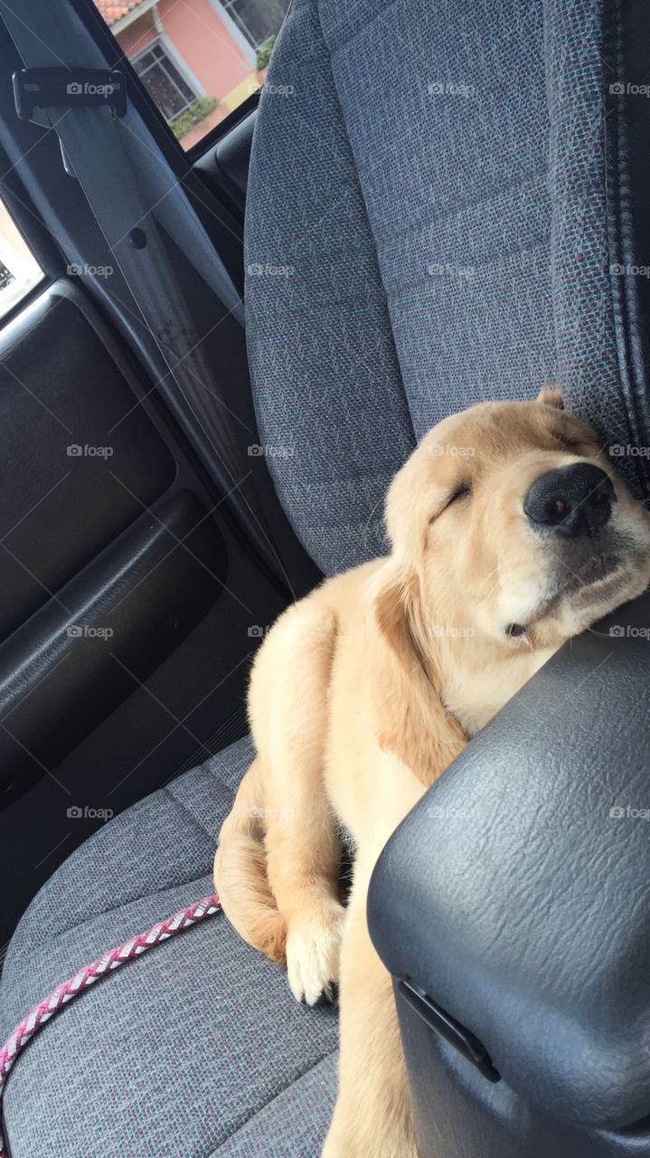 Sleeping in the car 