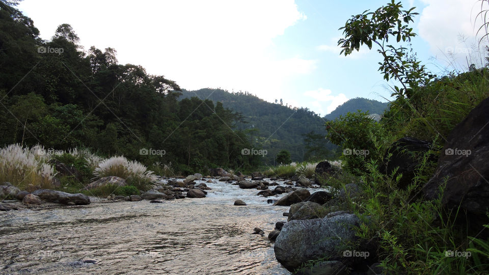 flowing river