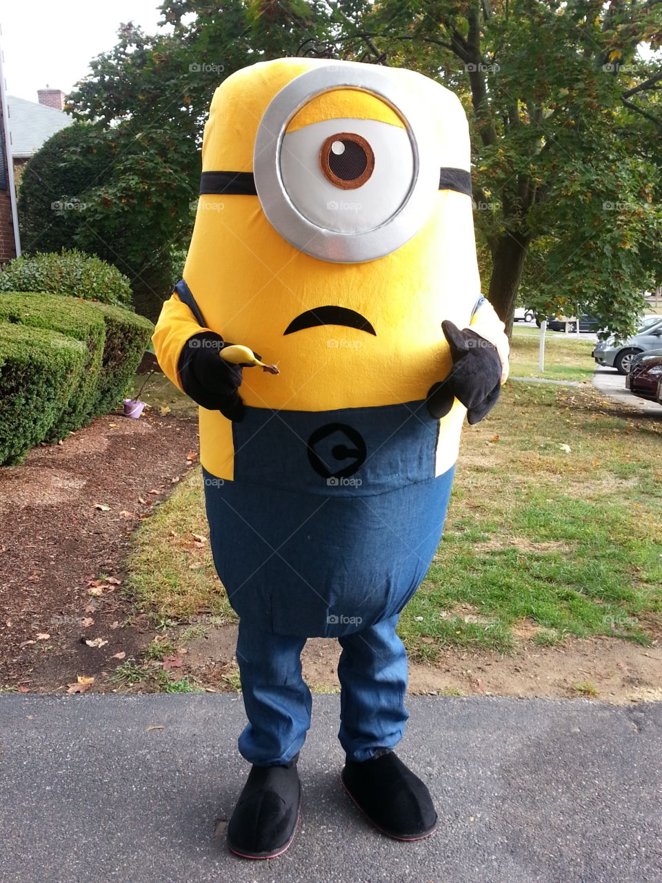 032. a very excited minion fan in his new minion costume