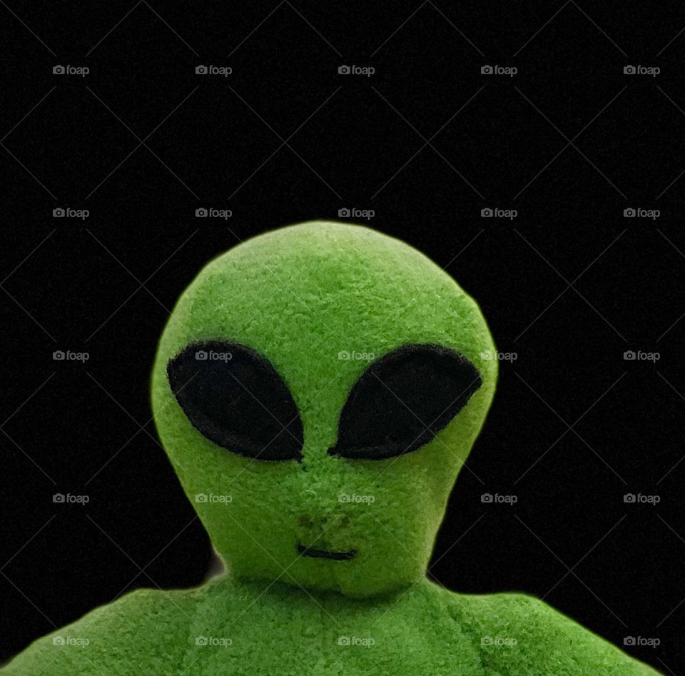 Alien Beanie Baby