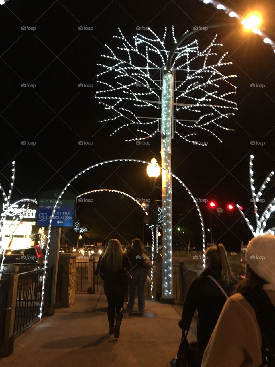 Christmas in Gatlinburg 