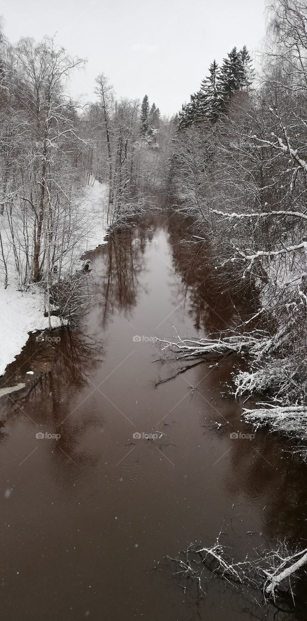 The branches of the trees are bent on the calm river having reflections. It is snowing.