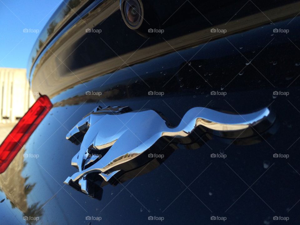 2015 Ford Mustang rear trunk badge.
