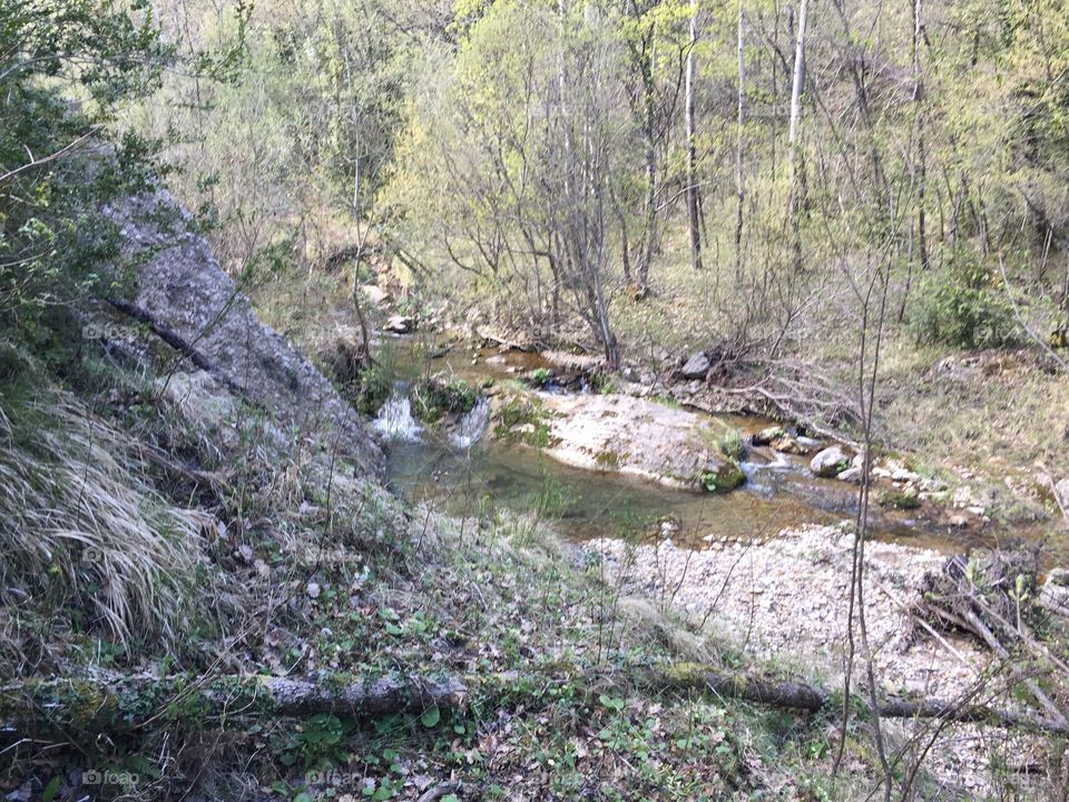 River jungle : la Cagnes 5