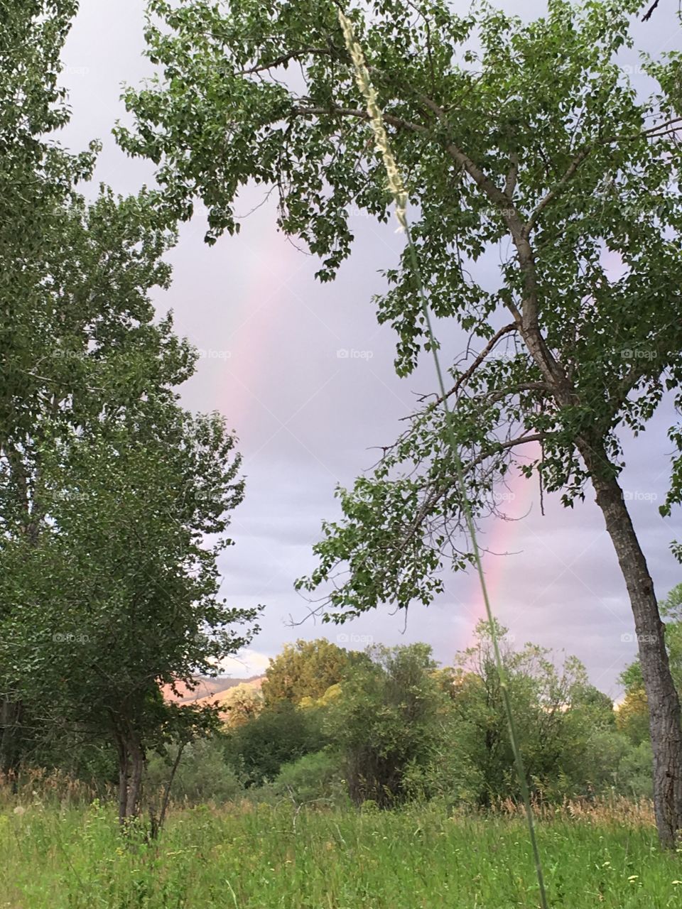 Double rainbow 
Missoula, MT
