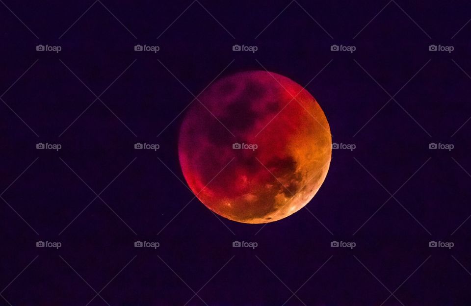 blood moon