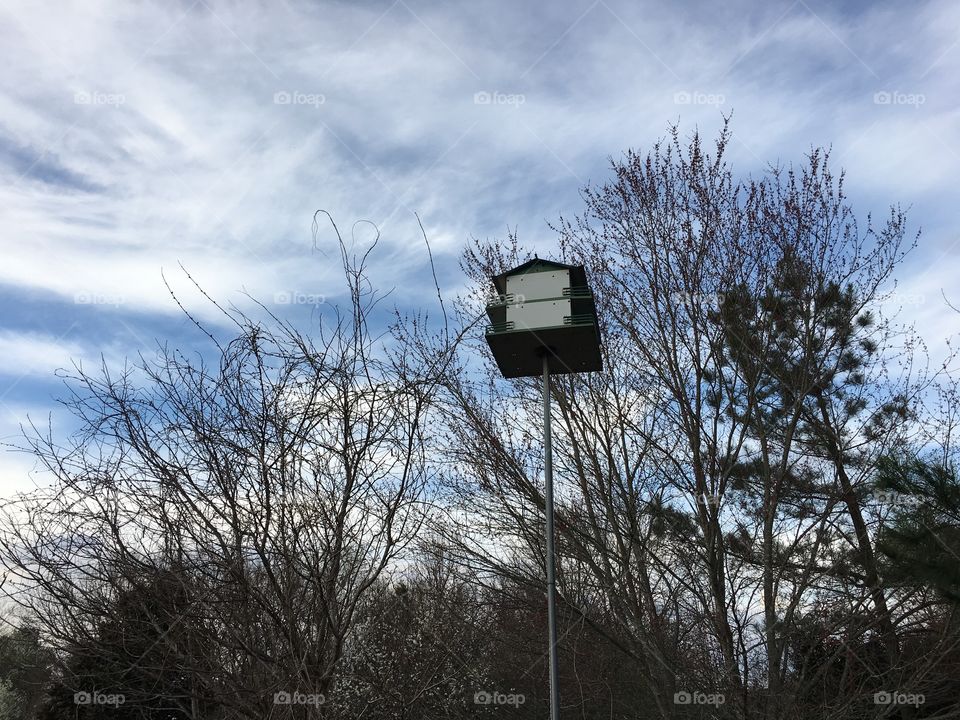 Bird house in the sky