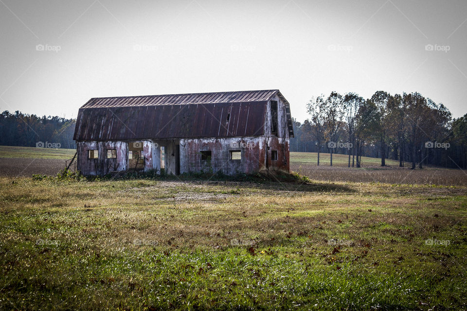 Barn, abandoned, farm 