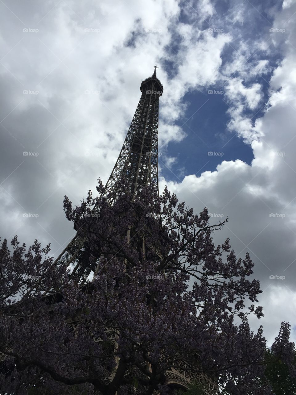 Eiffel Tower peaking. 