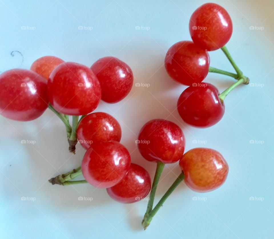 Cherry 