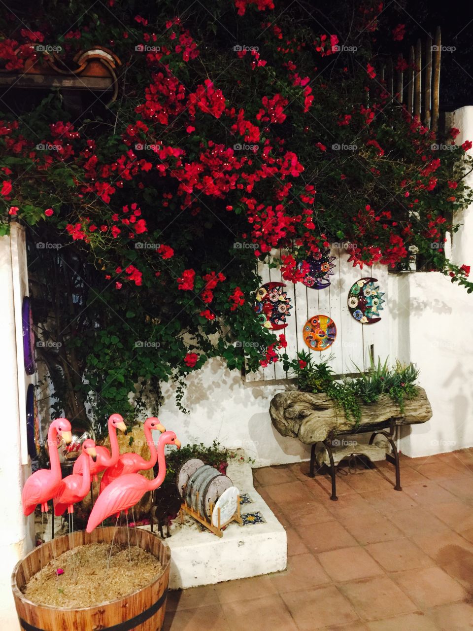 Old Town San Diego- bougainvillea 