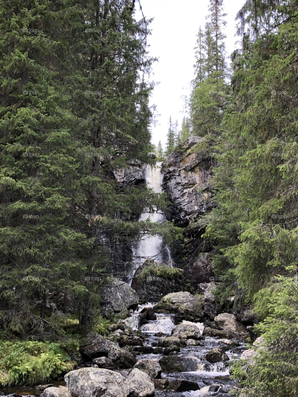 Waterfall in the forrest in Sweden