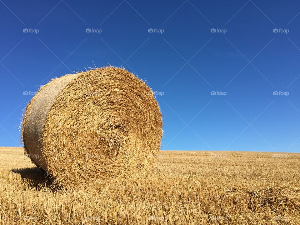 Bale of Hay in Field in front of Blue Sky